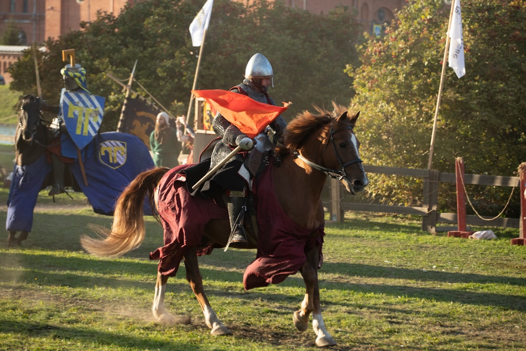 crusader knight banner crusader knight banner