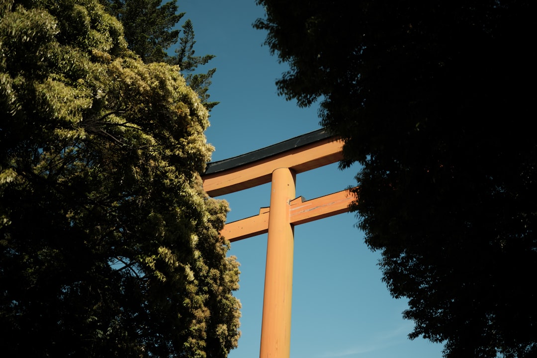 templar cross modern design templar cross modern design
