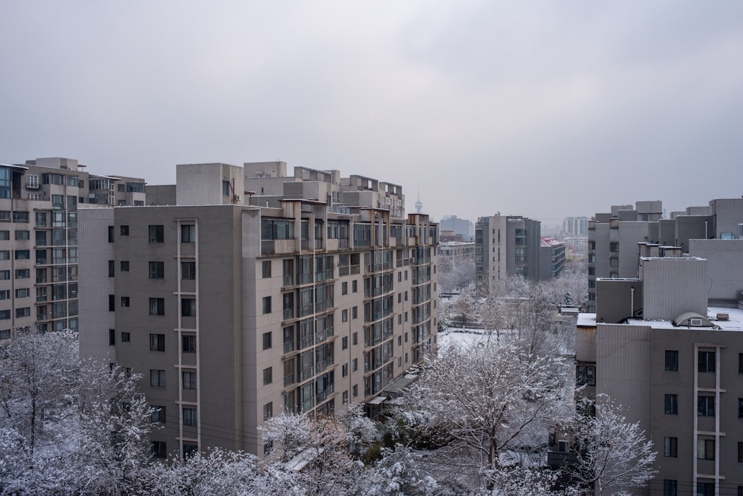 urban winter layering urban winter layering